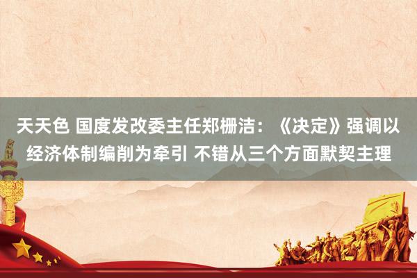 天天色 国度发改委主任郑栅洁：《决定》强调以经济体制编削为牵引 不错从三个方面默契主理