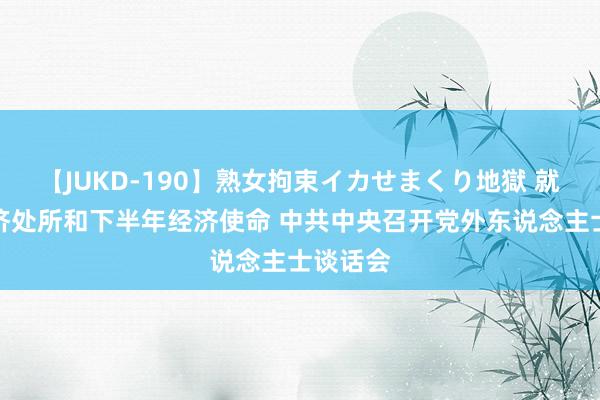 【JUKD-190】熟女拘束イカせまくり地獄 就现时经济处所和下半年经济使命 中共中央召开党外东说念主士谈话会