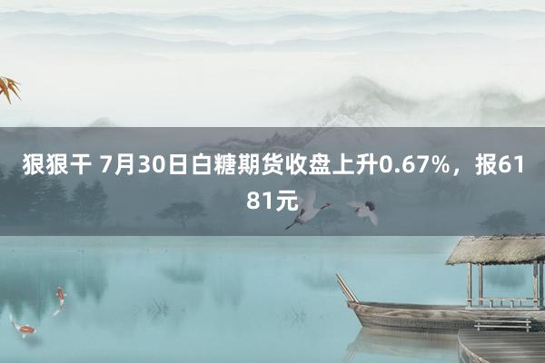 狠狠干 7月30日白糖期货收盘上升0.67%，报6181元