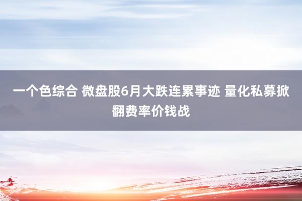 一个色综合 微盘股6月大跌连累事迹 量化私募掀翻费率价钱战