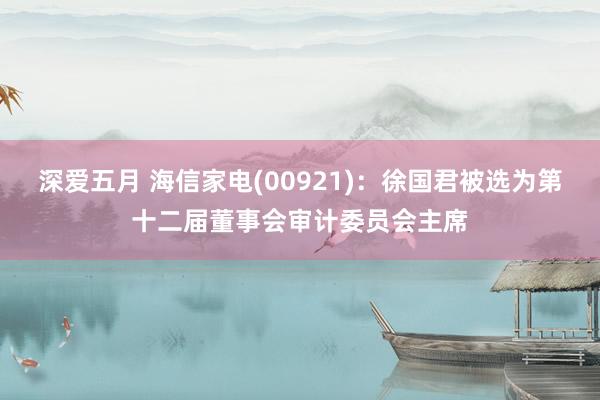 深爱五月 海信家电(00921)：徐国君被选为第十二届董事会审计委员会主席