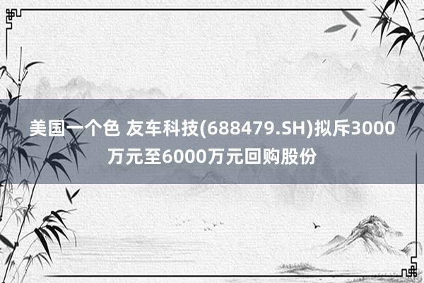 美国一个色 友车科技(688479.SH)拟斥3000万元至6000万元回购股份