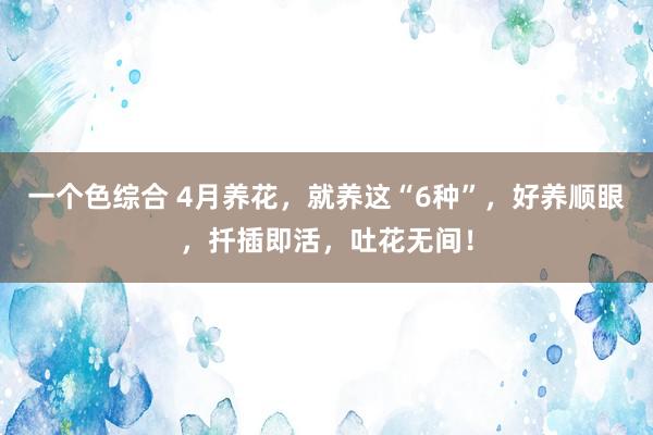 一个色综合 4月养花，就养这“6种”，好养顺眼，扦插即活，吐花无间！