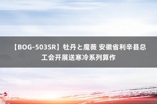 【BOG-503SR】牡丹と魔薇 安徽省利辛县总工会开展送寒冷系列算作