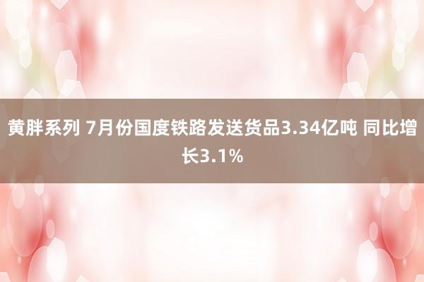 黄胖系列 7月份国度铁路发送货品3.34亿吨 同比增长3.1%