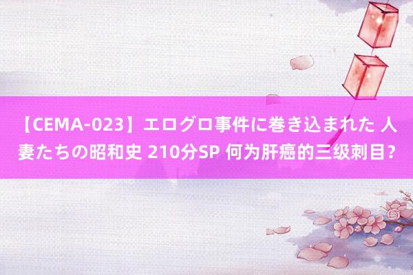 【CEMA-023】エログロ事件に巻き込まれた 人妻たちの昭和史 210分SP 何为肝癌的三级刺目？