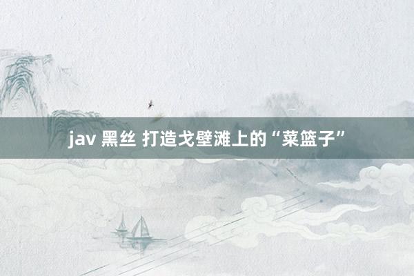 jav 黑丝 打造戈壁滩上的“菜篮子”