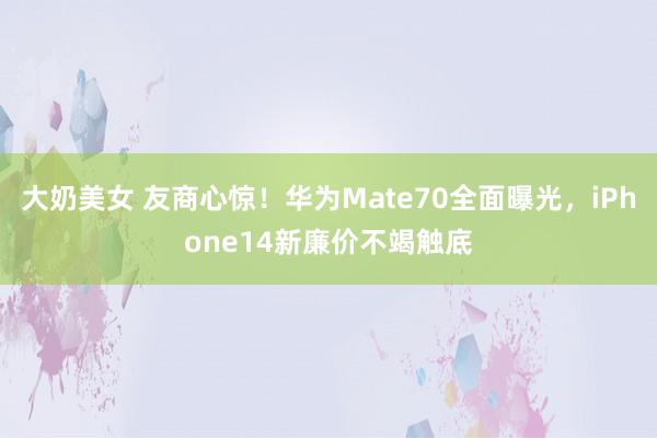 大奶美女 友商心惊！华为Mate70全面曝光，iPhone14新廉价不竭触底