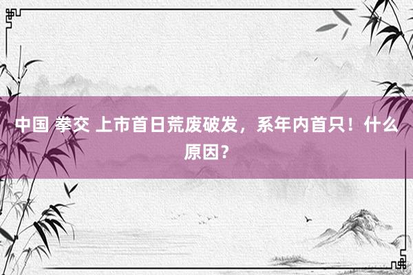 中国 拳交 上市首日荒废破发，系年内首只！什么原因？