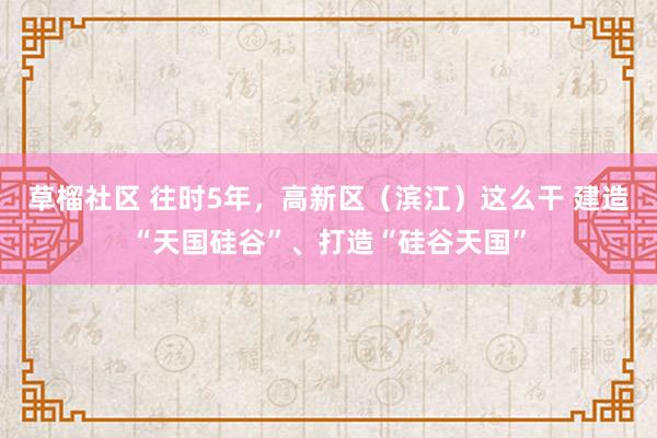 草榴社区 往时5年，高新区（滨江）这么干 建造“天国硅谷”、打造“硅谷天国”